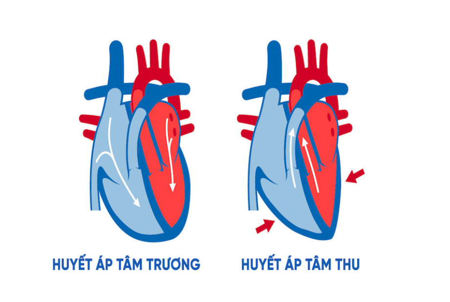 Giúp người đọc định nghĩa huyết áp tâm thu và tâm trương